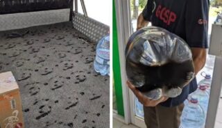 Viral di Media Sosial Galon Sekali Pakai Gosong Saat Distribusi dari Gudang ke Toko