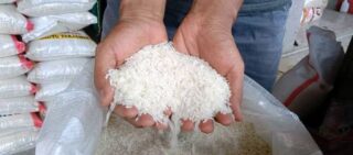 Harga Beras Mulai Naik, Pemerintah Sarankan Makan Ubi, Gigin Praginanto: untuk Menutupi Kegagalan