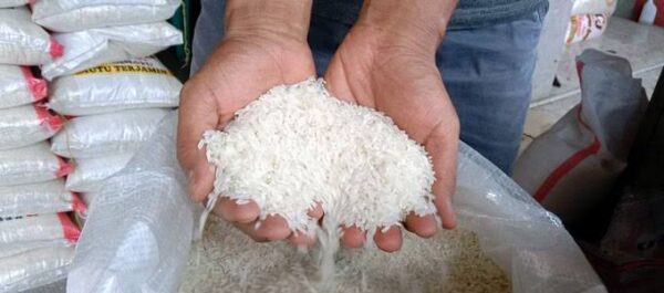Harga Beras Mulai Naik, Pemerintah Sarankan Makan Ubi, Gigin Praginanto: untuk Menutupi Kegagalan