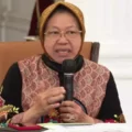 menteri-sosial-dorong-kemajuan-inklusi-penyandang-disabilitas