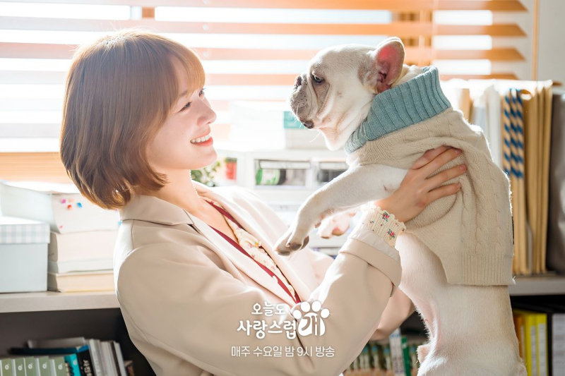 drakor-a-good-day-to-be-a-dog-episode-3,-seo-won-dan-hae-na-habiskan-waktu-bersama