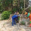 polsek-kepulauan-seribu-utara-dan-warga-bersatu-tanam-pohon-dan-mangrove-untuk-menyehatkan-udara