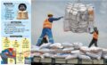 dewan-kaget-sulsel-dapat-jatah-beras-impor,-sebut-pemprov-gagal-tangani-ketahanan-pangan