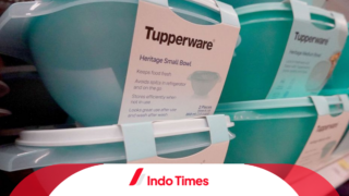 Hampir Bangkrut, Saham Tupperware Tiba-Tiba Melonjak Tajam Lebih 300 Persen. Pengamat: Hati-Hati!
