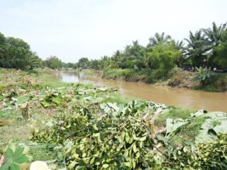 petugas-gabungan-bersihkan-lereng-sungai-deli-dijalan-ileng-sepanjang-400-meter