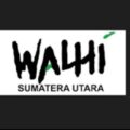 direktur-eksekutif-walhi-sumut-minta-polisi-tertibkan-tambang-galian-c-ilegal-di-desa-namorih-dan-kecamatan-kutalimbaru