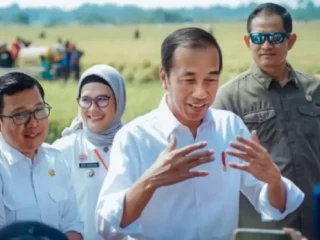 Sinyal Gestur Kepala Jokowi, Demokrat Bakal Dapat Jatah Menteri di Reshuffle Pekan Ini