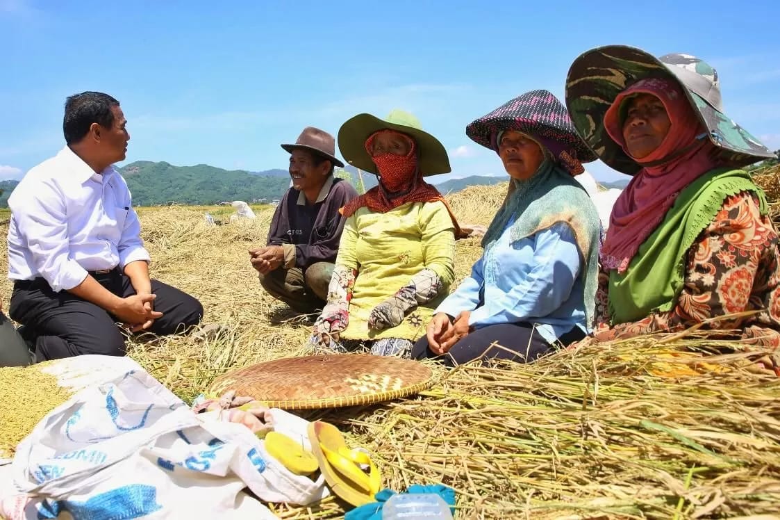 isu-amran-sulaiman-akan-kembali-jabat-mentan,-gempita:-tepat-dan-layak!