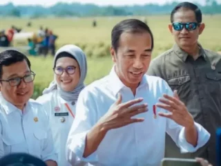 Dampak El Nino, Jokowi Bilang Pemerintah Akan Keluarkan BLT Rp400 Ribu ke Masyarakat