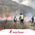 kebakaran-di-bukit-teletubbies-menyebabkan-kerusakan-yang-signifikan.-pelaku-sudah-ditangkap