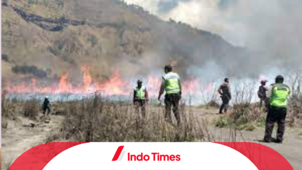 Kebakaran di Bukit Teletubbies Menyebabkan Kerusakan yang Signifikan. Pelaku Sudah Ditangkap