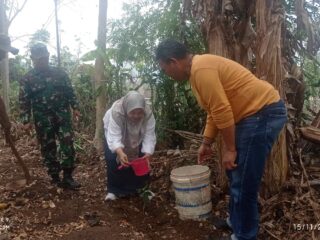 Dukung Penanaman Pohon, Ketua Apdesi Nagreg Ajak Masyarakat Jaga dan Rawat Pohon