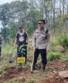 giat-penanaman-pohon-polri,-polsek-cicalengka-tanam-100-pohon-tanaman-keras-di-taman-kehati