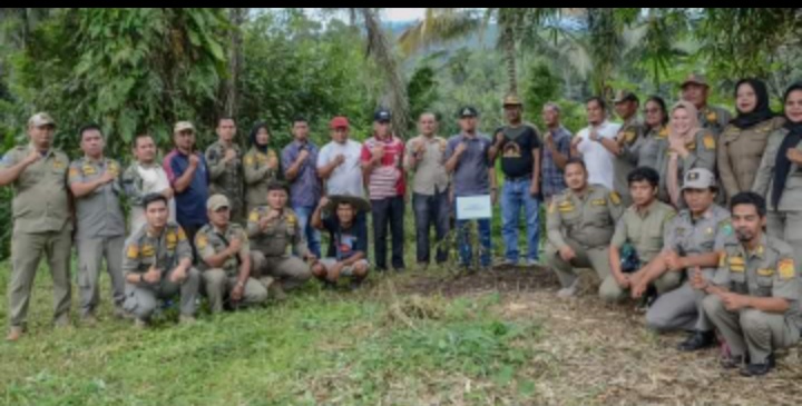 fkbpppn-padangsidimpuan-gelar-kegiatan-penanaman-pohon-se-nusantara