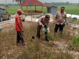 Keren!!! Polsek Palas Menciptakan Lingkungan Hijau di Taman Pematang Indah