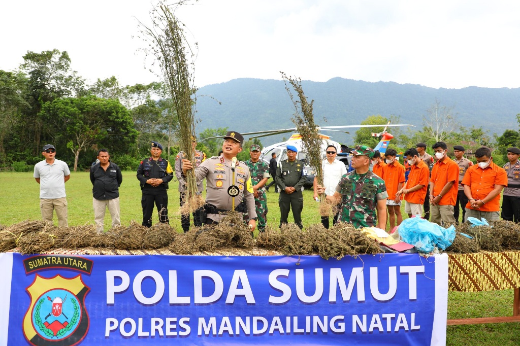 perburuan-150-ha-ladang-ganja-oleh-polda-sumut-gunakan-teknologi-citra-satelit