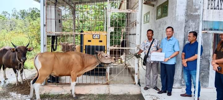 pemda-nisut-serahkan-hewan-qurban-di-beberapa-mesjid