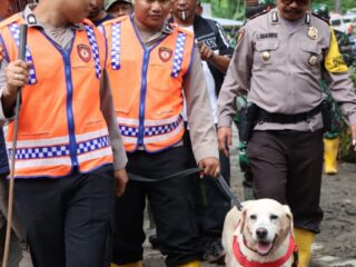 Polda Sumut Turunkan Anjing Pelacak Bantu Pencarian Korban Longsor di Humbahas