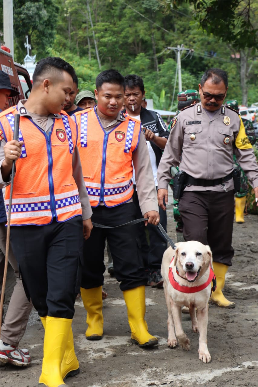 polda-sumut-turunkan-anjing-pelacak-bantu-pencarian-korban-longsor-di-humbahas