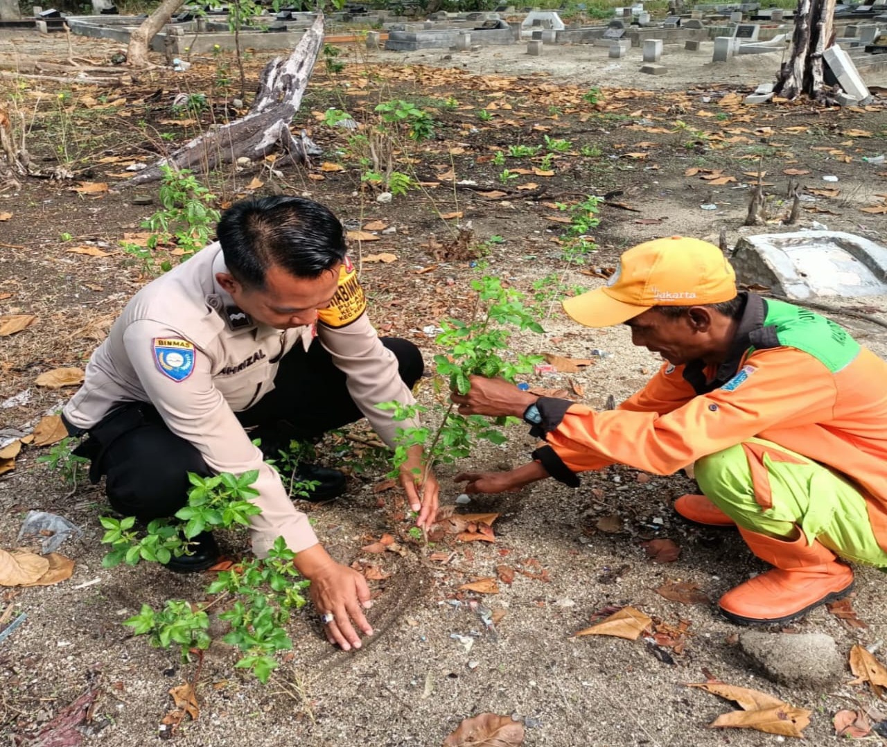 polsek-kepulauan-seribu-utara-dan-warga-bersatu-tanam-pohon-demi-menyelamatkan-kualitas-udara