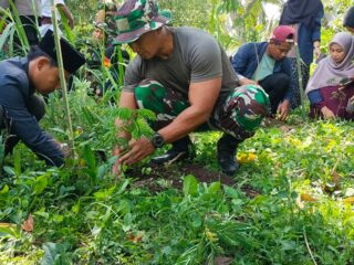 Dandim 1615/Lotim : Musim Hujan Waktu Tepat Untuk Reboisasi Untuk Menjaga Kelestarian Hutan.