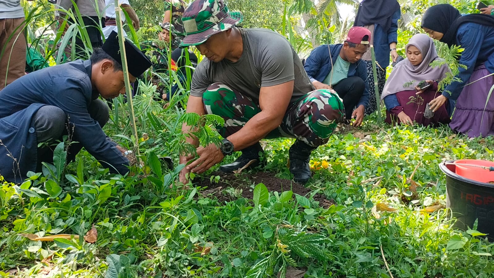 dandim-1615/lotim-:-musim-hujan-waktu-tepat-untuk-reboisasi-untuk-menjaga-kelestarian-hutan.