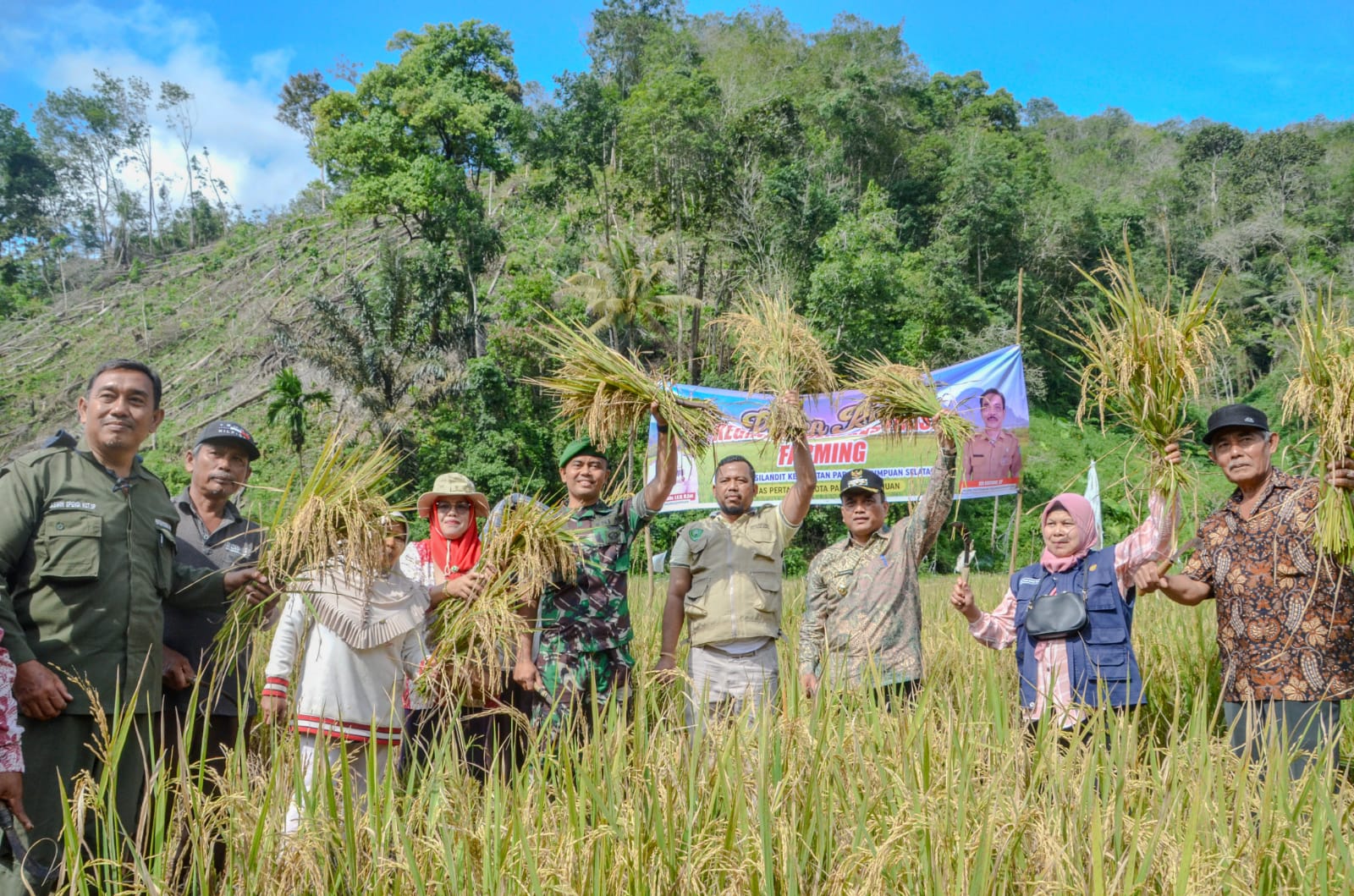 pj.-walikota-lakukan-panen-padi-sawah-dari-kelompok-karya-tani-di-kelurahan-silandit