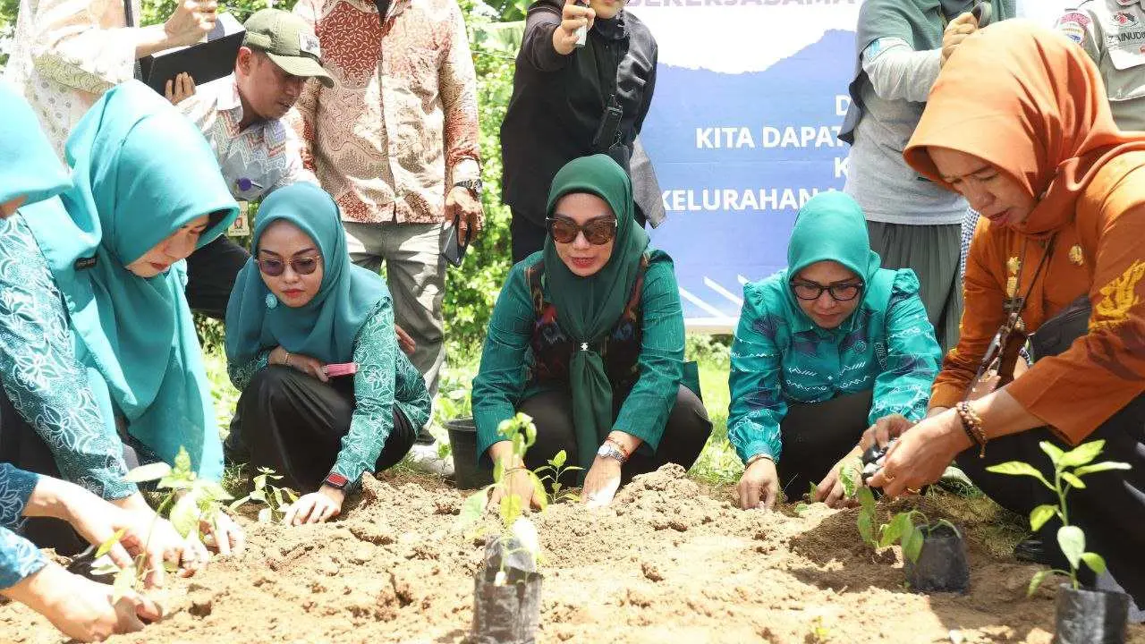 pj-ketua-tp-pkk-sulsel-kunjungi-posyandu-dan-tanam-cabai-di-kel.-macanang