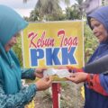 tanaman-obat-keluarga-pkk-desa-sipangko-sumber-kesehatan-warga