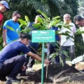 terima-saran-pj-gubernur-sulsel,-pt-vale-akan-tanam-sukun-untuk-rehabilitasi-lahan-tambang