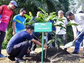 Terima Saran Pj Gubernur Sulsel, PT Vale Akan Tanam Sukun untuk Rehabilitasi Lahan Tambang