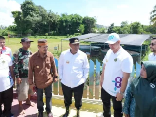 bupati-pangkep-yakin-budidaya-tanaman-hortikultura-tingkatkan-perekonomian-masyarakat