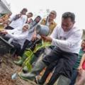 melalui-program-hortikultura,-pj-gubernur-sulsel-dorong-ekonomi-hijau-di-parepare