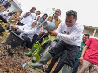 melalui-program-hortikultura,-pj-gubernur-sulsel-dorong-ekonomi-hijau-di-parepare