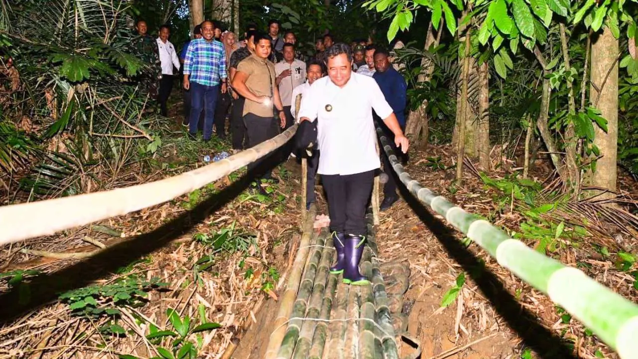 tekad-pj-gubernur-bahtiar-galakkan-budidaya-pisang-cavendish-hingga-jalan-kaki-lewati-titian-bambu