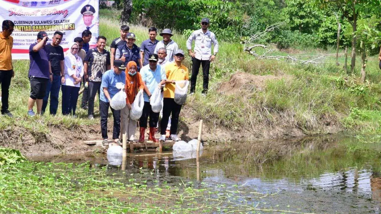 20-ribu-bibit-ikan-nila-kembali-ditebar-di-bone