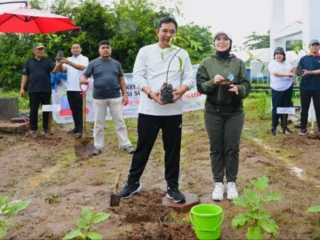 Optimalkan Lahan Tidur, Taman MoI dan Kawasan BSO Ditanami Sukun