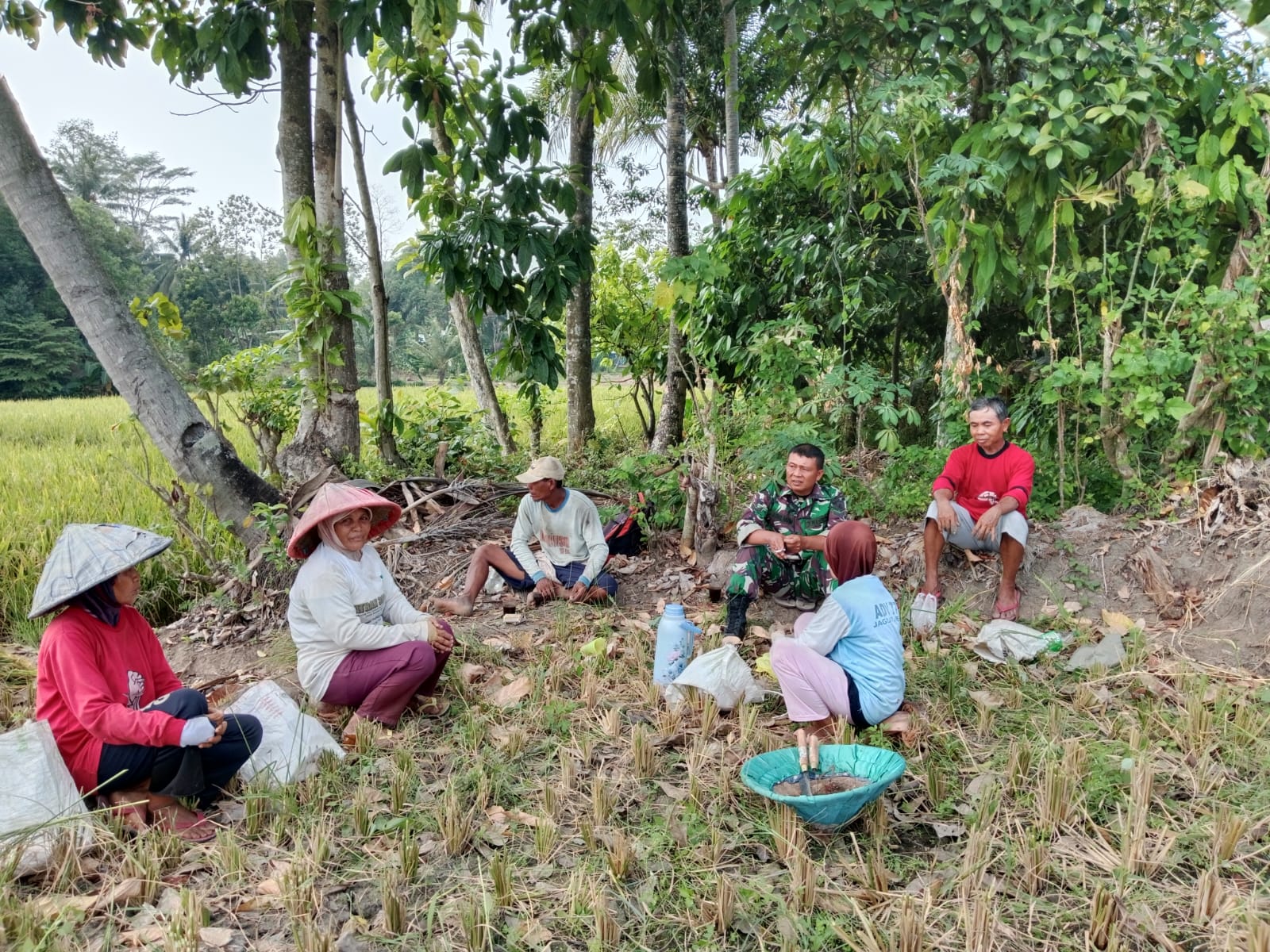 mendukung-program-ketahanan-pangan-nasional-babinsa-koramil-421-03/pnh-turun-kelahan