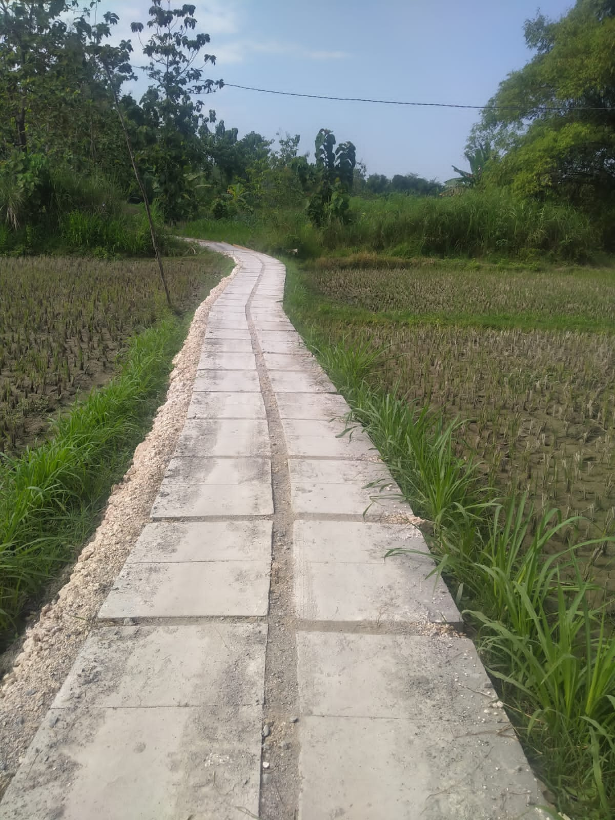 pembangunan-jalan-usaha-tani-di-desa-setren-sangat-bermanfaat-bagi-petani