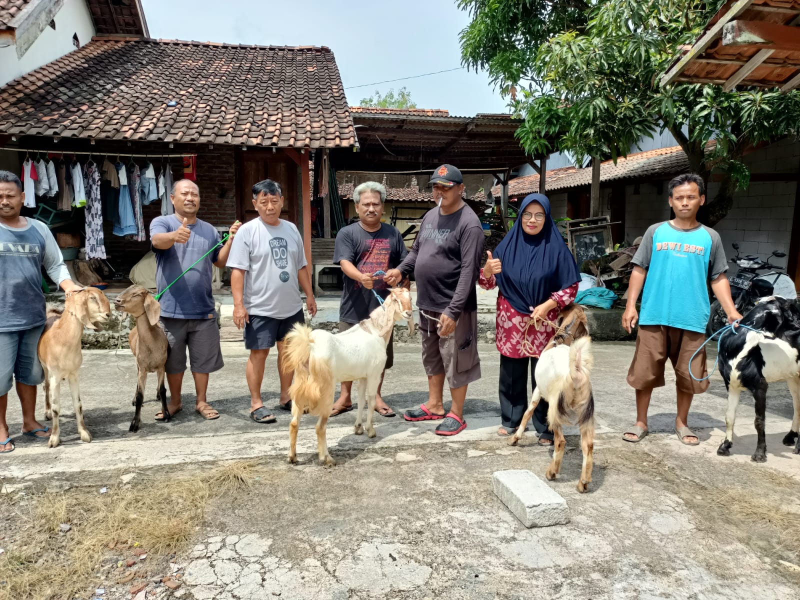 bantuan-kambing-dari-desa-kediren-blora-bertambah-jadi-90-ekor,-warga-senang