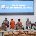 polres-madina-ungkap-kasus-narkoba-:-dua-tersangka-dan-116-kilo-ganja-diamankan