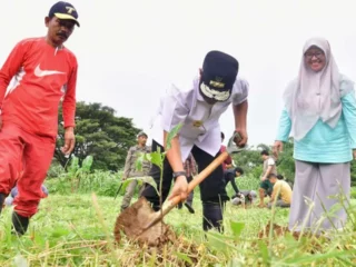 Olahraga di GOR Sudiang, Barisan Muda Putra Pongka Tanam Sukun Bareng Pj Gubernur Sulsel