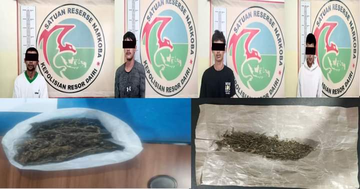 sat-narkoba-polres-dairi-berhasil-ungkap-peredaran-ganja-seberat-60,42-gram-dari-tangan-4-tersangka