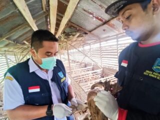 Disbunnak Kalsel Tingkatkan Koordinasi Untuk Antisipasi Penyebaran Virus Flu Burung