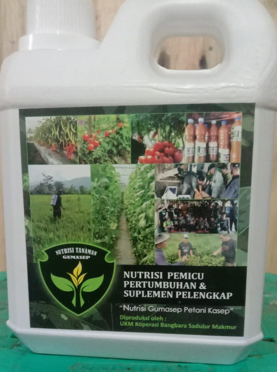 nutrisi-tanaman-gumasep,-karya-bangbara-bedas-lahir-dari-kegelisahan-petani