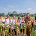 panen-8-ton-jagung-bersama-bobby-nasution,-mentan:-ini-luar-biasa,-semoga-hentikan-impor