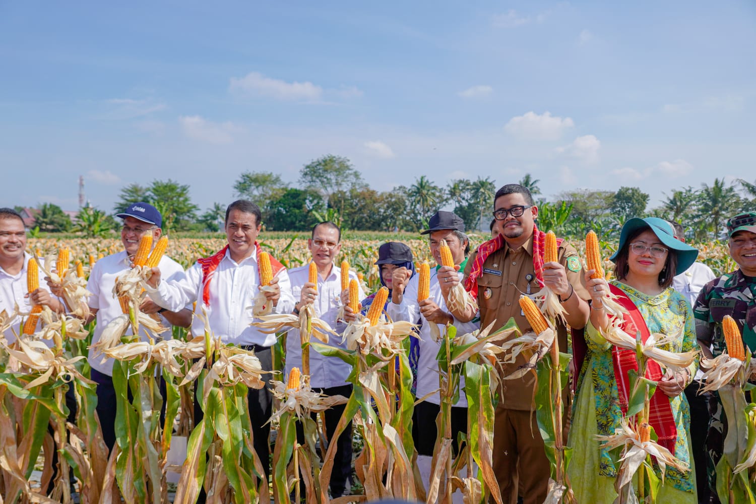 panen-8-ton-jagung-bersama-bobby-nasution,-mentan:-ini-luar-biasa,-semoga-hentikan-impor