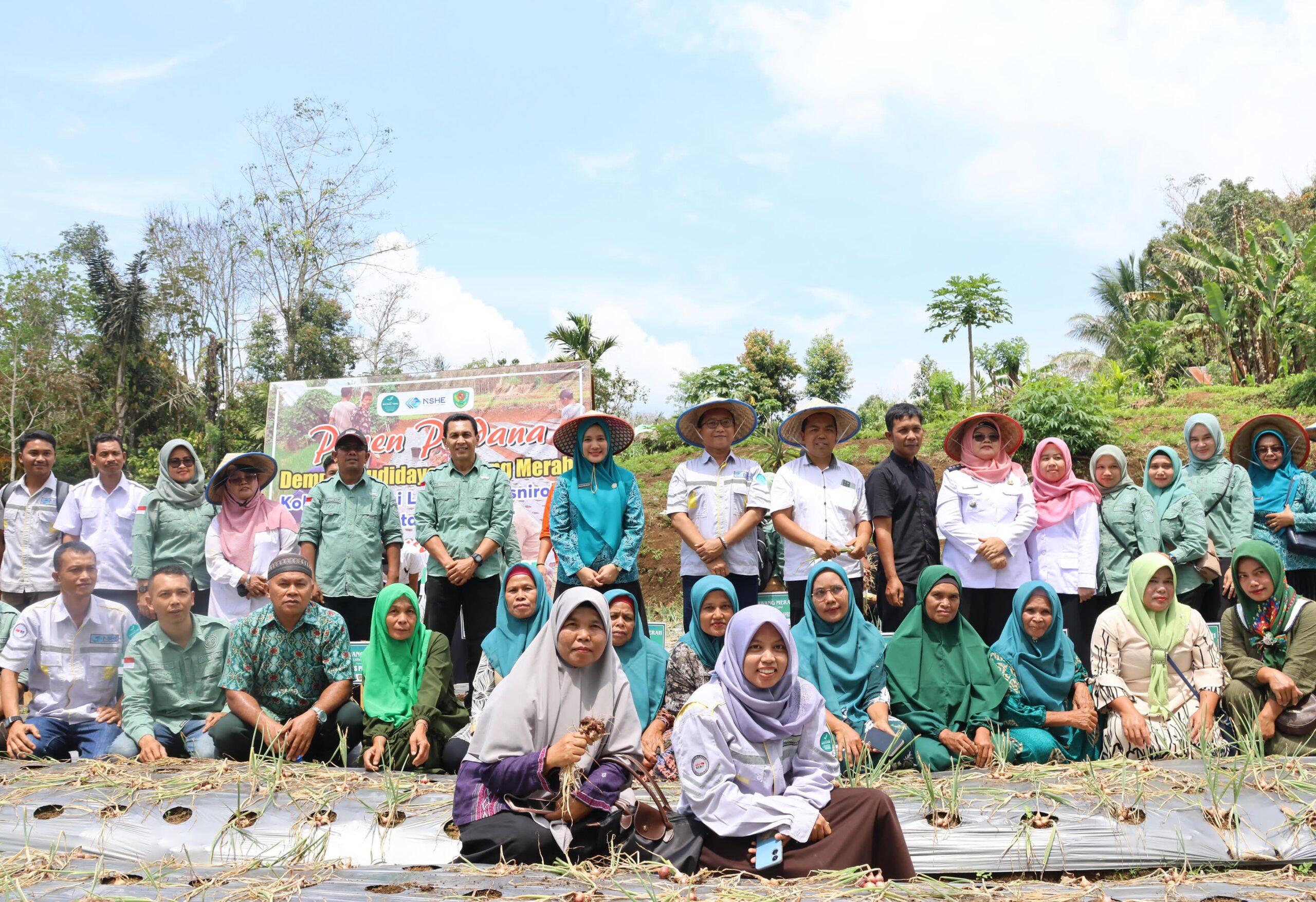 bupati-dan-ketua-tp-pkk-tapsel-lakukan-panen-perdana-bawang-merah-bersama-koptan-desa-simaninggir