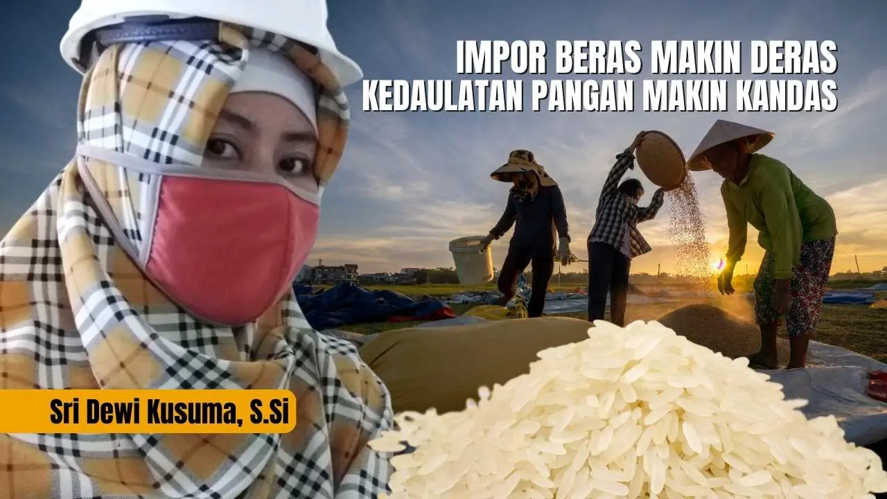 impor-beras-makin-deras,-kedaulatan-pangan-makin-kandas