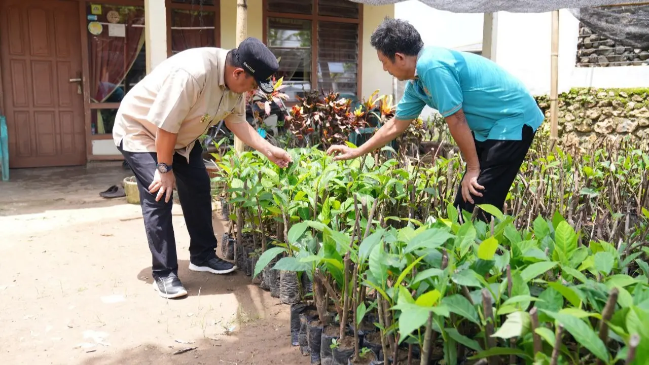 pj-gubernur-sulsel-cek-lokasi-pembibitan-sukun-yang-diinisiasi-kelompok-tani-desa-samaenre